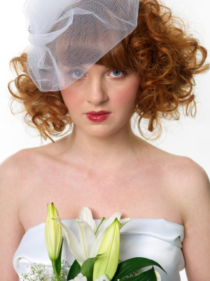 Birdcage wedding veil and short bridal hairstyles. Filed in: wedding veils